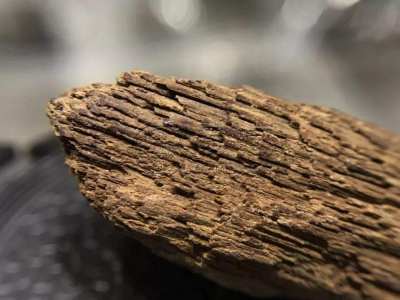 沉香木手串和沉香手串有何区别？